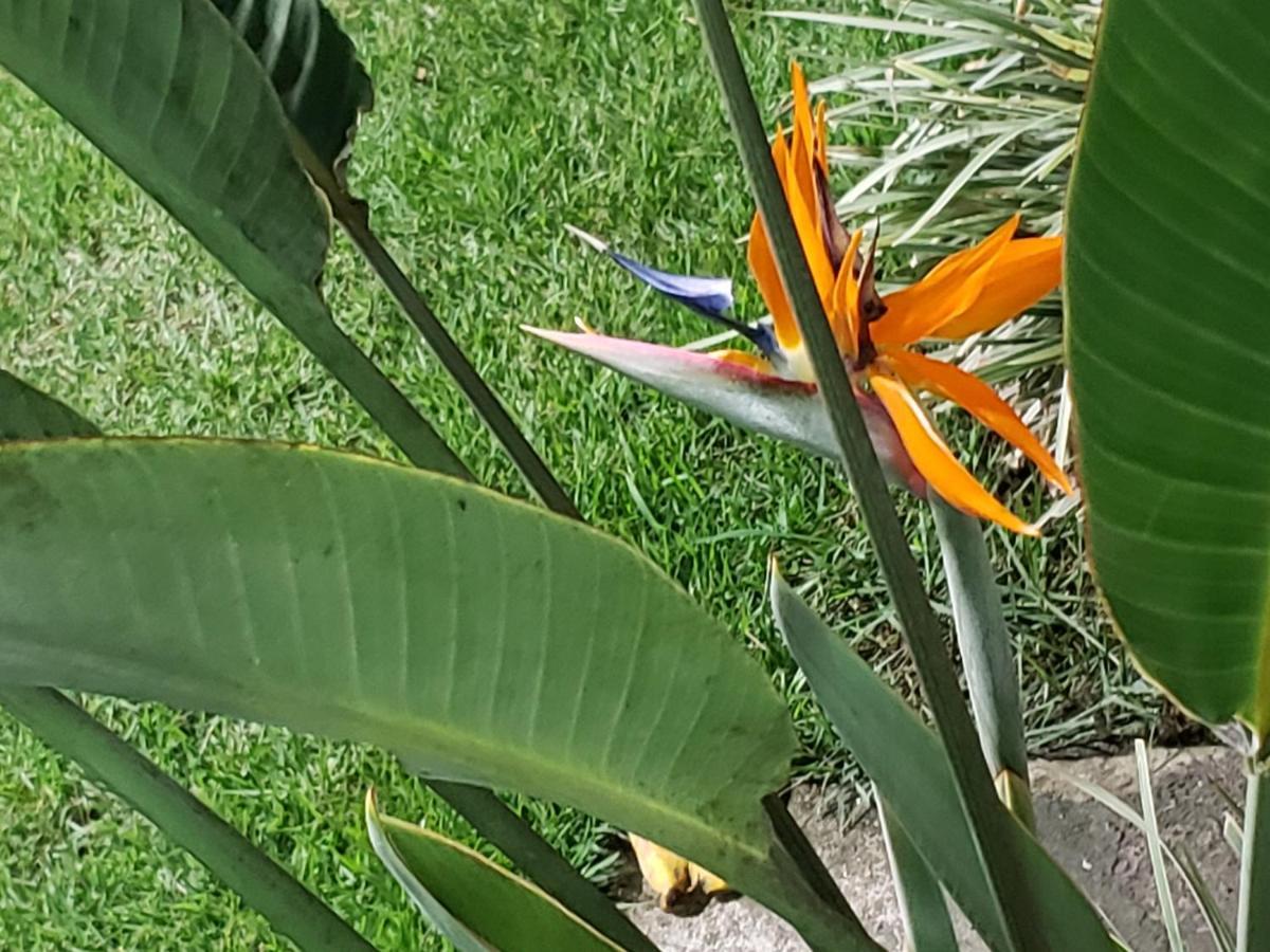 Vila Chales Internacionall Araquari Exteriér fotografie
