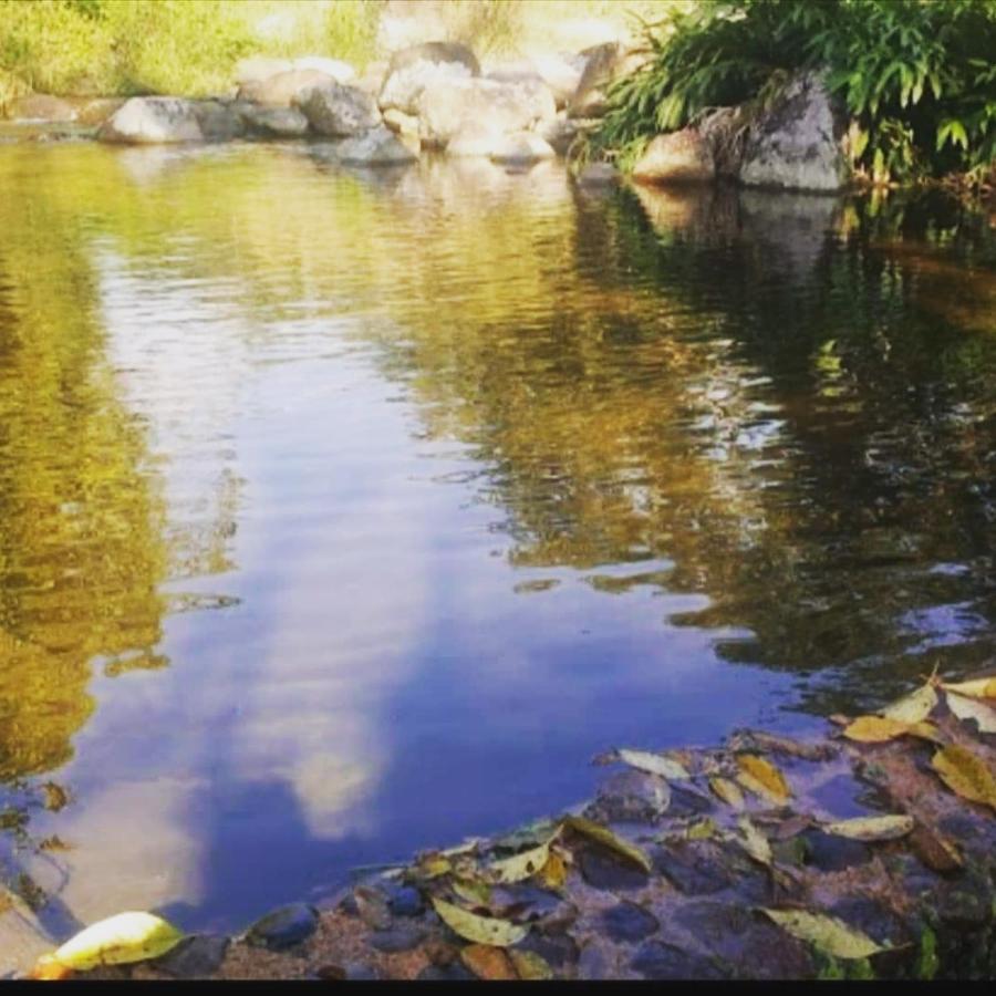 Vila Chales Internacionall Araquari Exteriér fotografie
